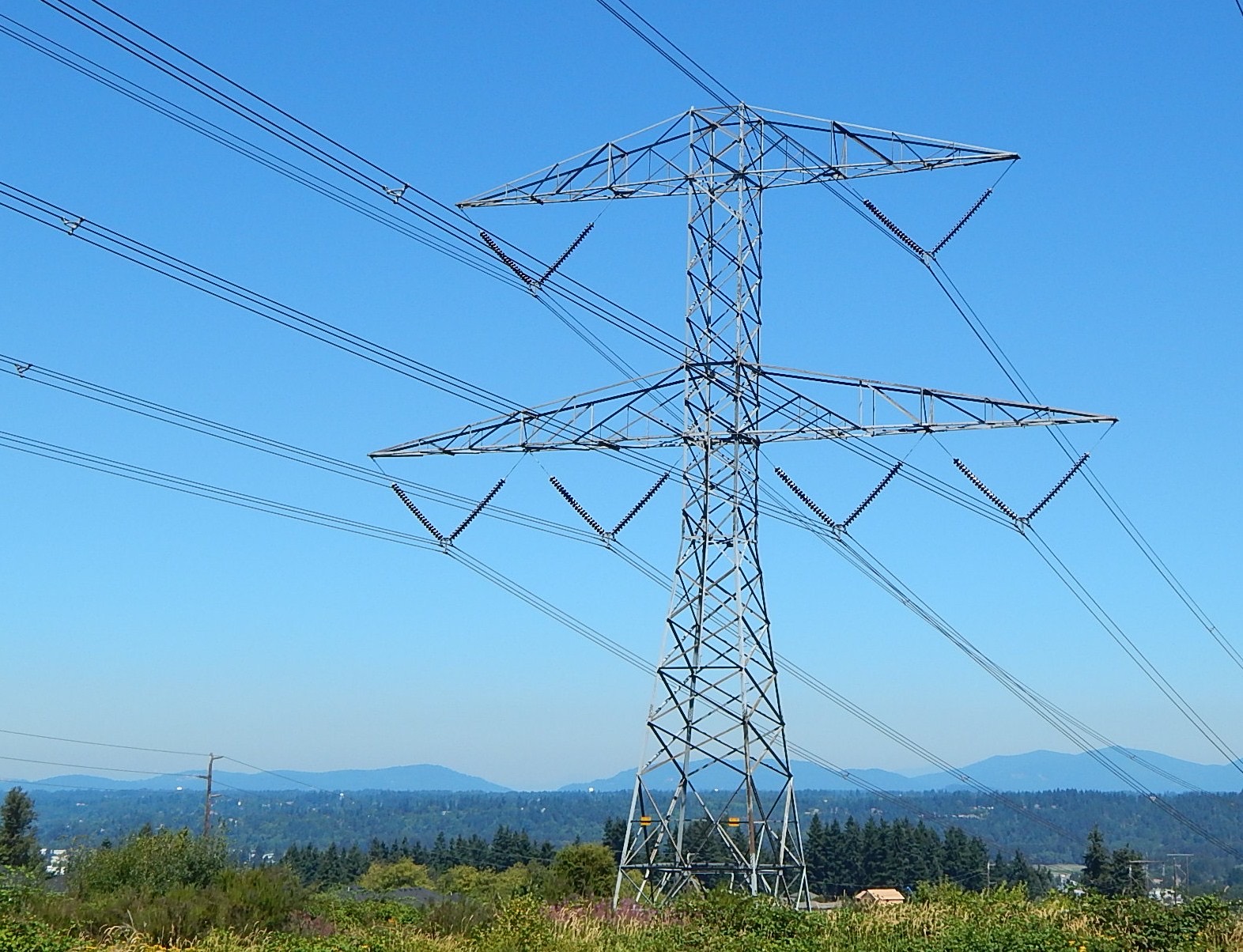 High-voltage steel transmission towers carrying power lines across a landscape under a pale sky